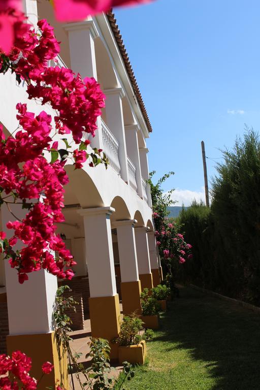 Apartamentos Bolonia Paraiso エクステリア 写真