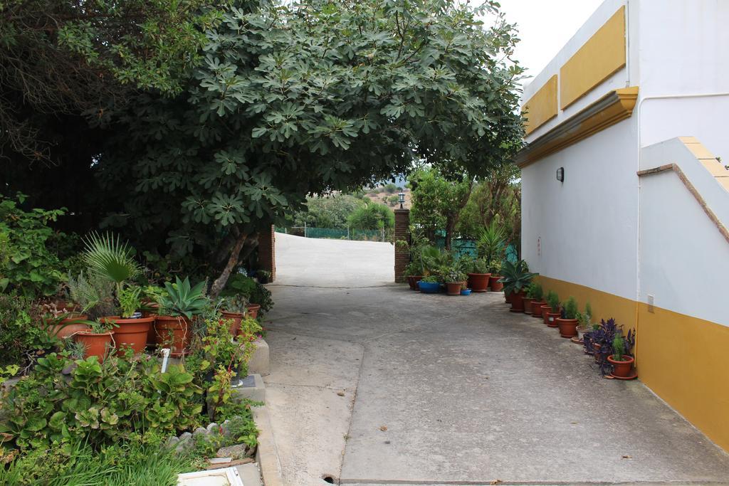 Apartamentos Bolonia Paraiso エクステリア 写真